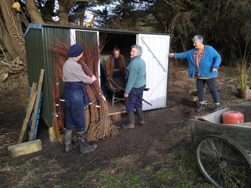 Organising storage inside the shed